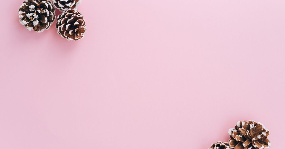 Jesienna magia szyszek sosnowych: 21 dekoracji DIY, które ocieplą każde wnętrze